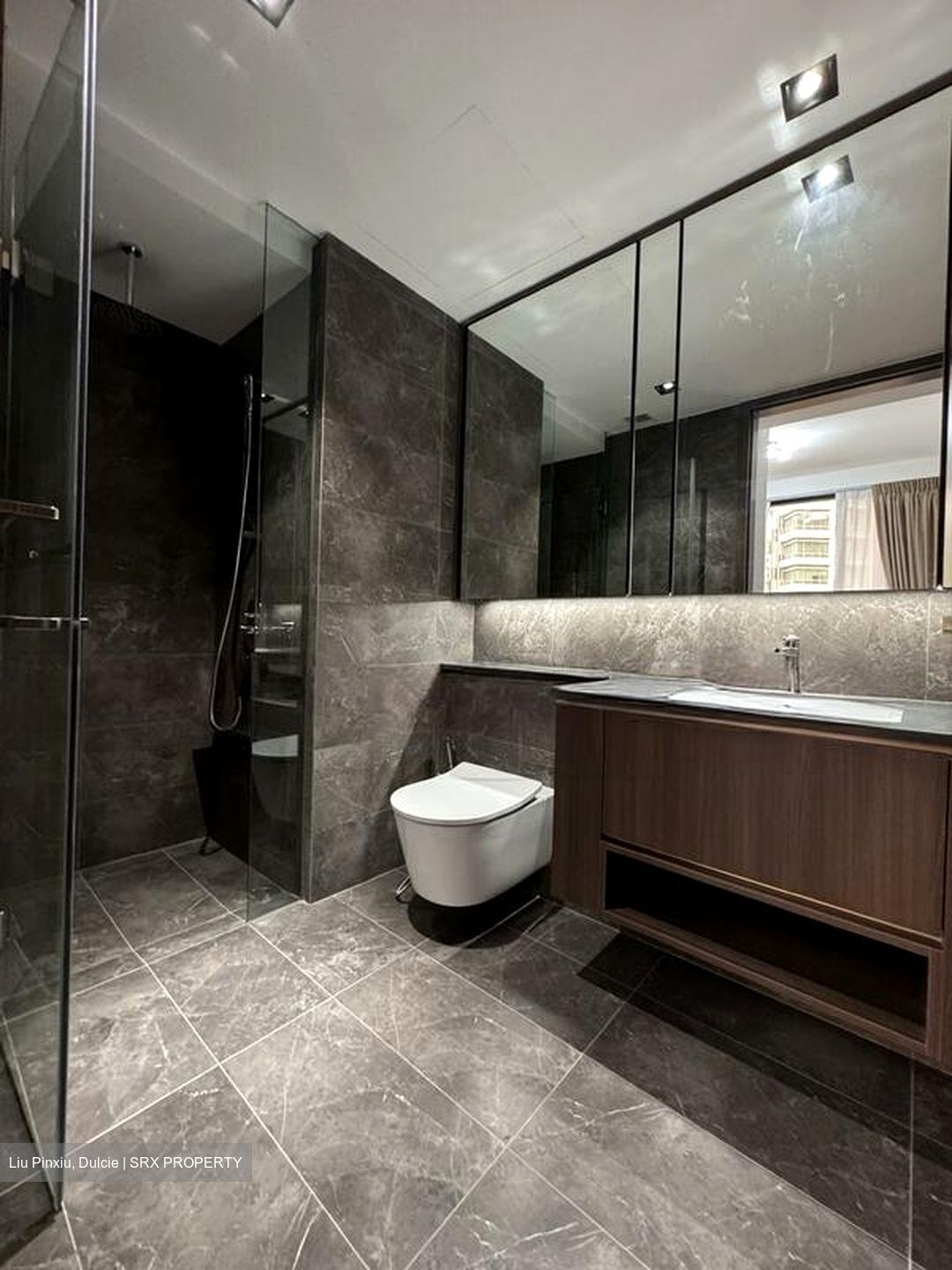 Kopar At Newton (D9), Apartment #497586781